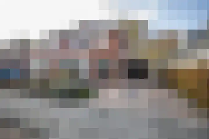 Helmkruid 4 Vroomshoop