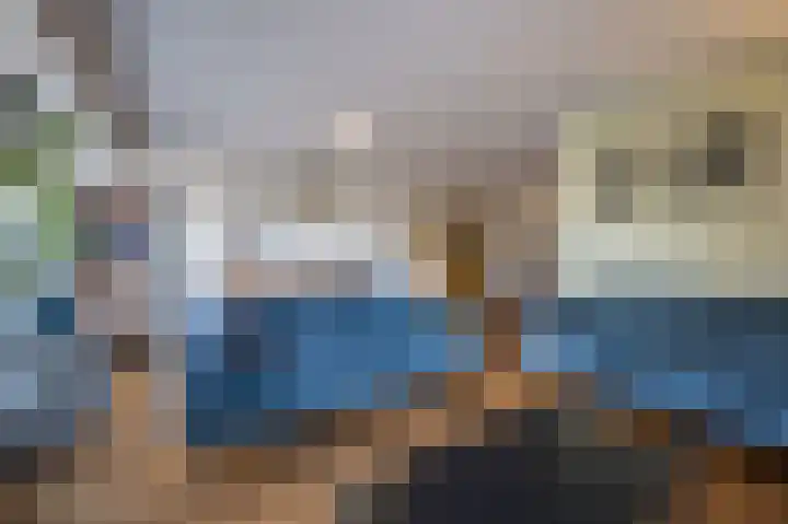 Helmkruid 4 Vroomshoop thumbnail 10