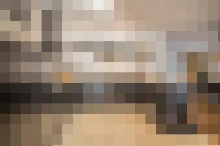 Helmkruid 4 Vroomshoop thumbnail 15