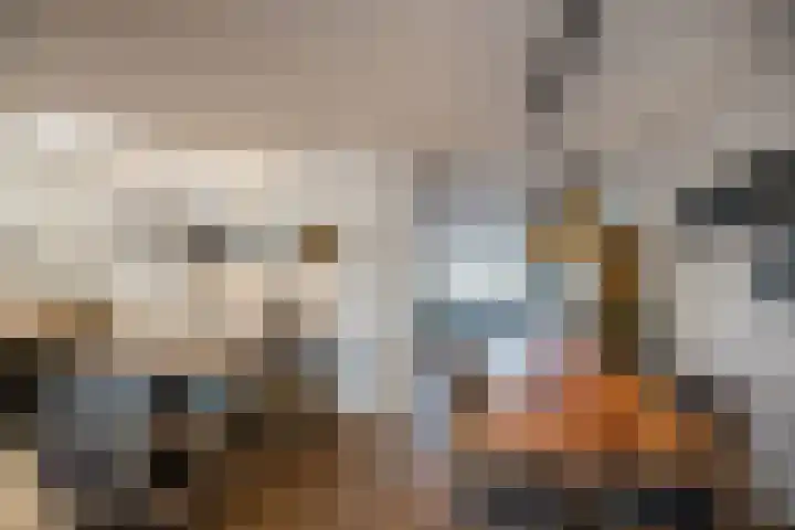 Helmkruid 4 Vroomshoop thumbnail 16