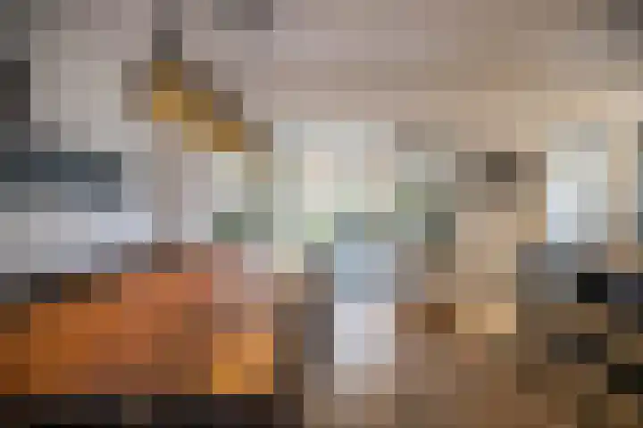 Helmkruid 4 Vroomshoop thumbnail 17