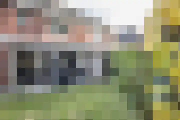 Helmkruid 4 Vroomshoop thumbnail 20
