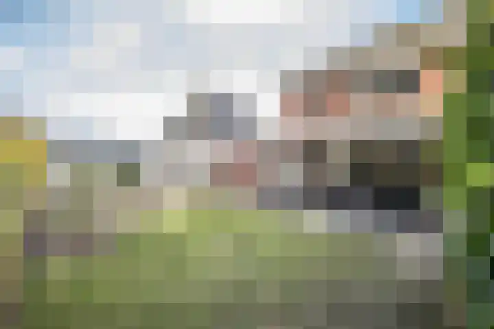 Helmkruid 4 Vroomshoop thumbnail 22