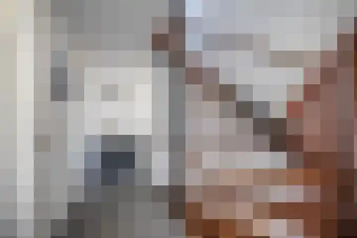 Helmkruid 4 Vroomshoop thumbnail 26