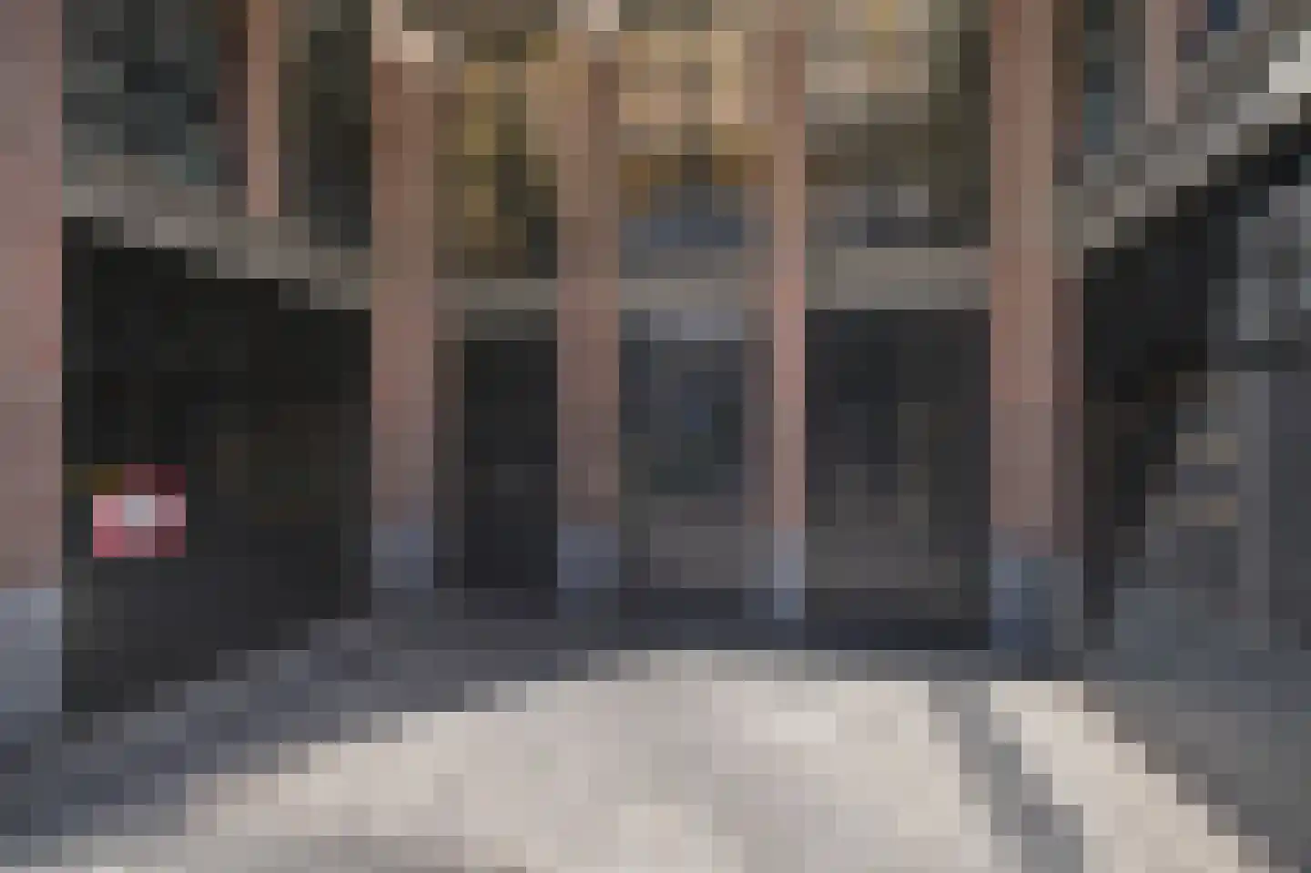 Helmkruid 4 Vroomshoop thumbnail 27