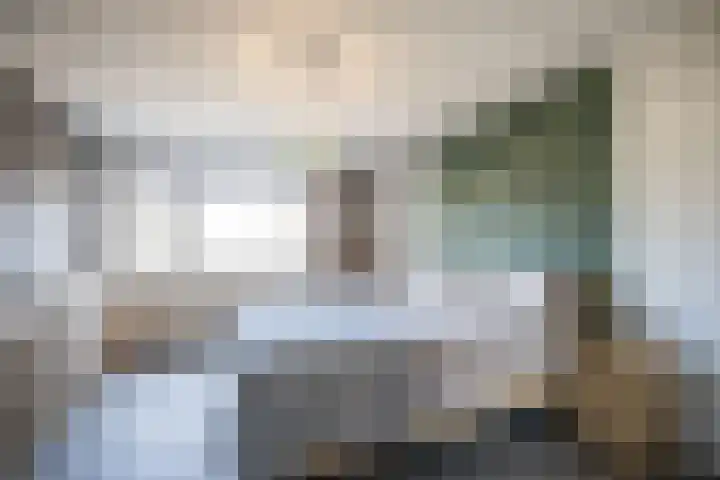 Helmkruid 4 Vroomshoop thumbnail 27