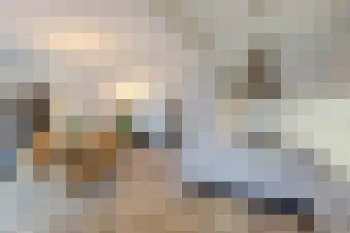 Helmkruid 4 Vroomshoop thumbnail 33