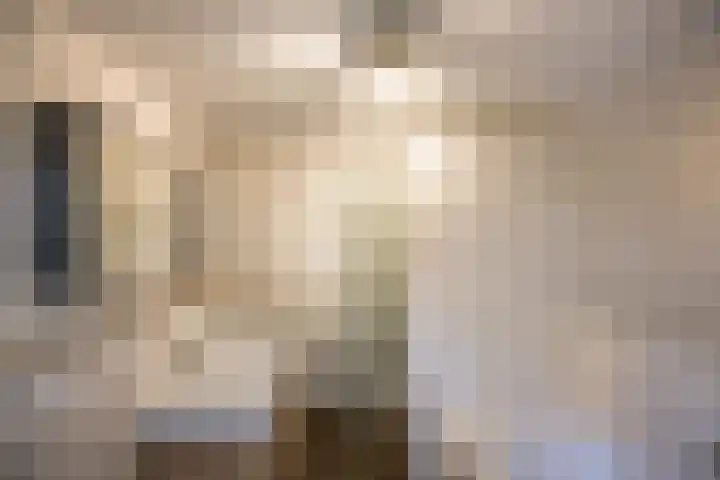 Helmkruid 4 Vroomshoop thumbnail 36