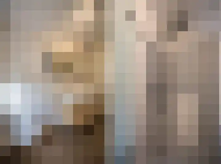 Helmkruid 4 Vroomshoop thumbnail 37