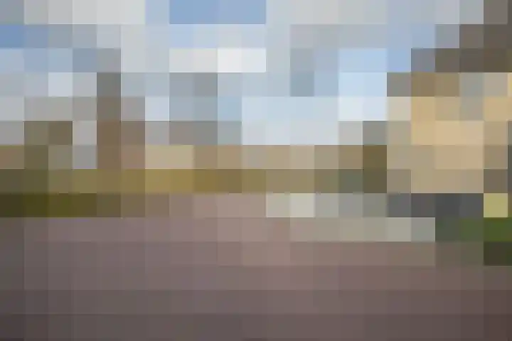 Helmkruid 4 Vroomshoop thumbnail 44