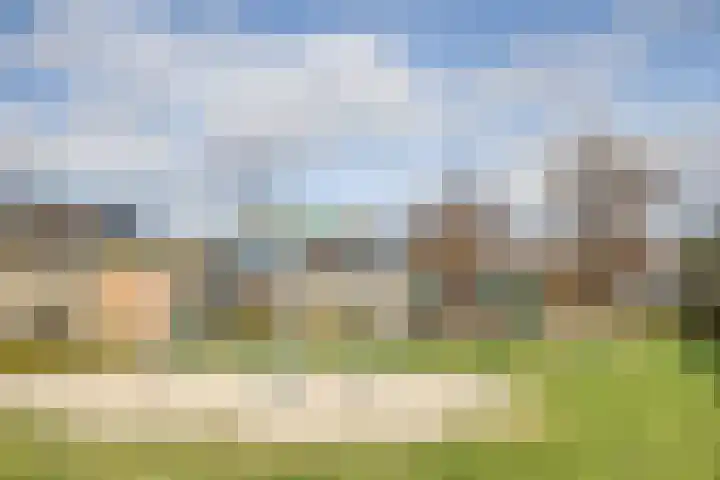 Helmkruid 4 Vroomshoop thumbnail 46