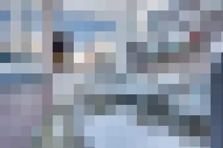 Helmkruid 4 Vroomshoop thumbnail 5