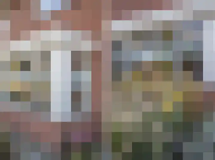 Helmkruid 4 Vroomshoop thumbnail 6