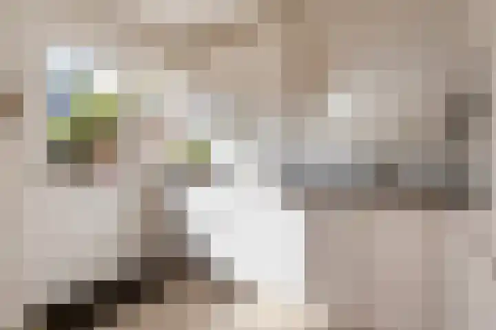Helmkruid 5 Oldenzaal thumbnail 13