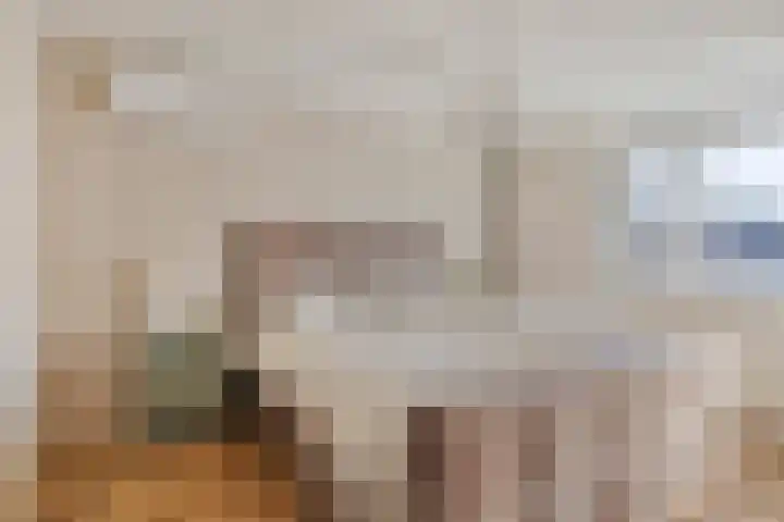 Helmkruid 5 Oldenzaal thumbnail 15
