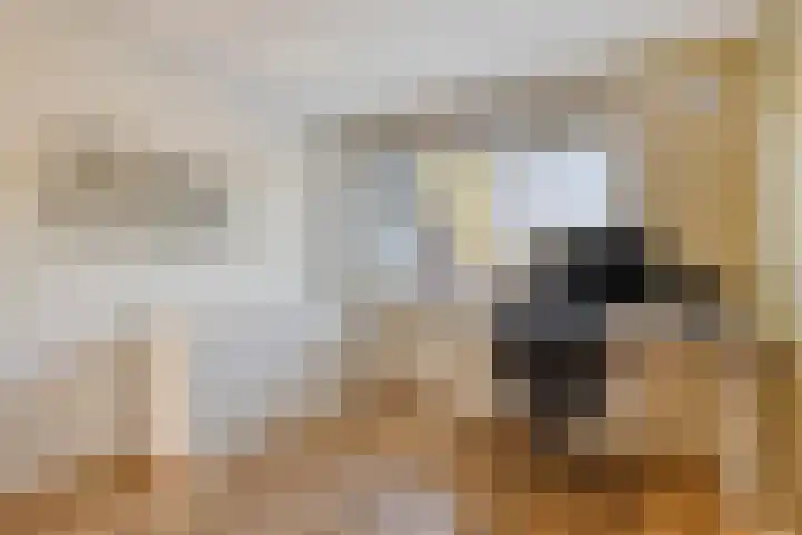 Helmkruid 5 Oldenzaal thumbnail 17