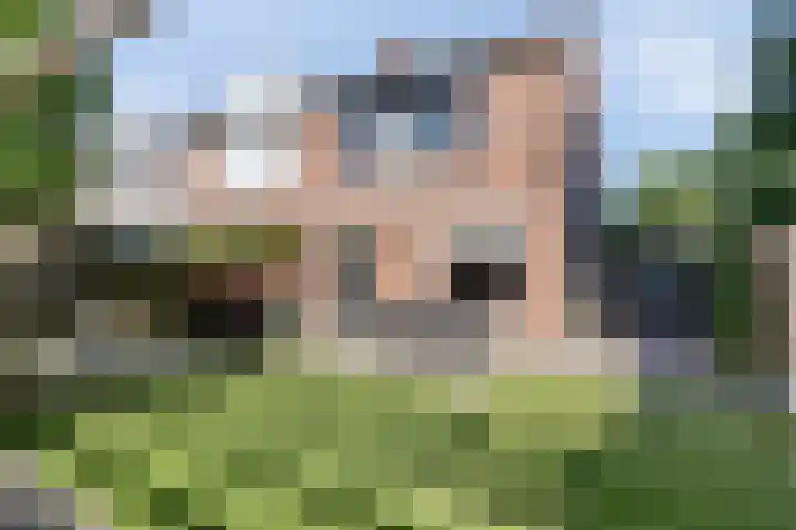 Helmkruid 5 Oldenzaal thumbnail 23