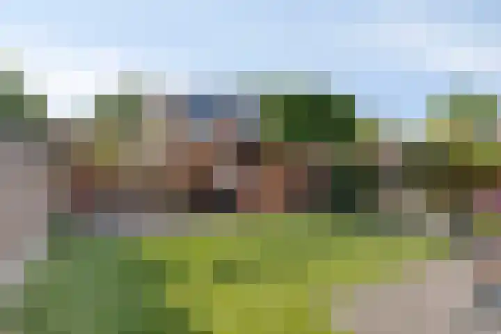Helmkruid 5 Oldenzaal thumbnail 24