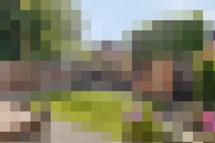 Helmkruid 5 Oldenzaal thumbnail 25
