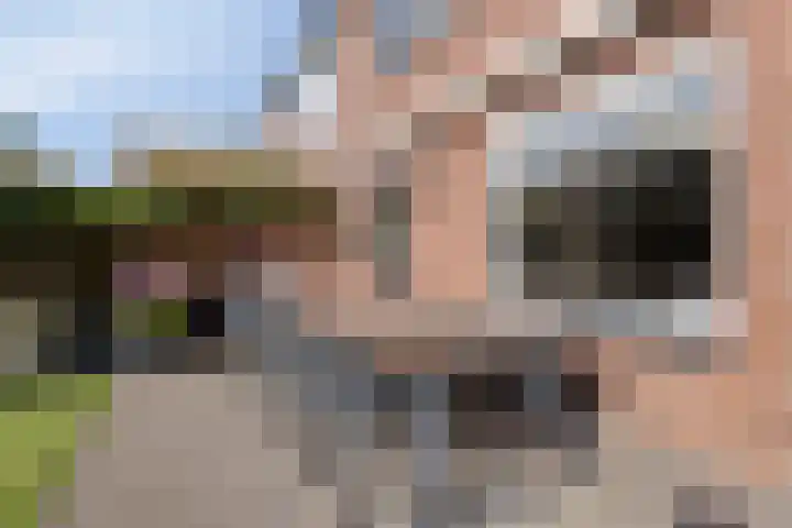 Helmkruid 5 Oldenzaal thumbnail 26
