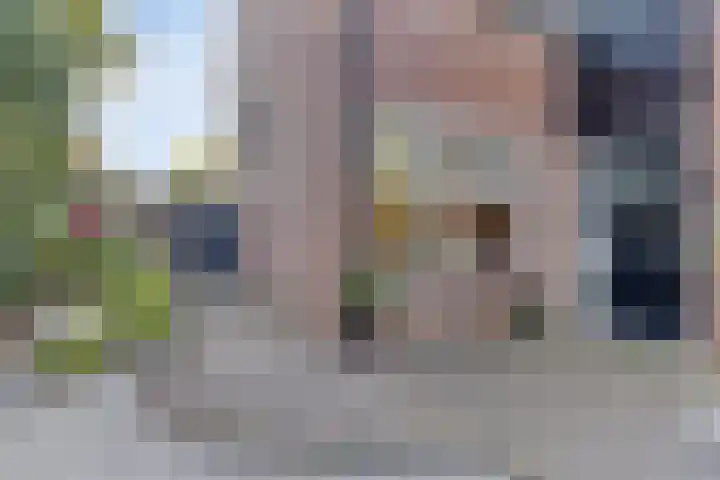 Helmkruid 5 Oldenzaal thumbnail 28