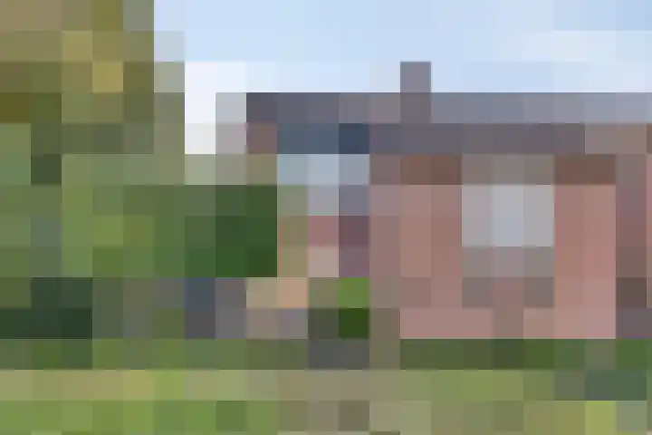 Helmkruid 5 Oldenzaal thumbnail 29