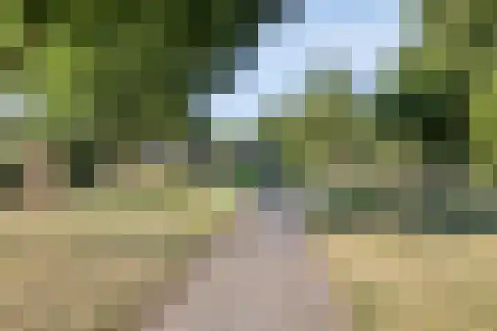 Helmkruid 5 Oldenzaal thumbnail 30