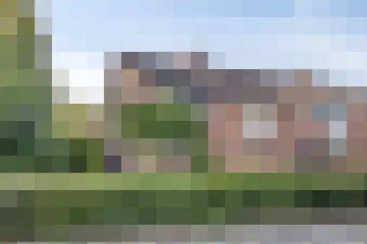 Helmkruid 5 Oldenzaal thumbnail 36