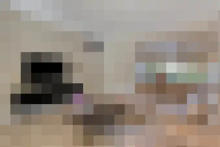 Helmkruid 5 Oldenzaal thumbnail 4