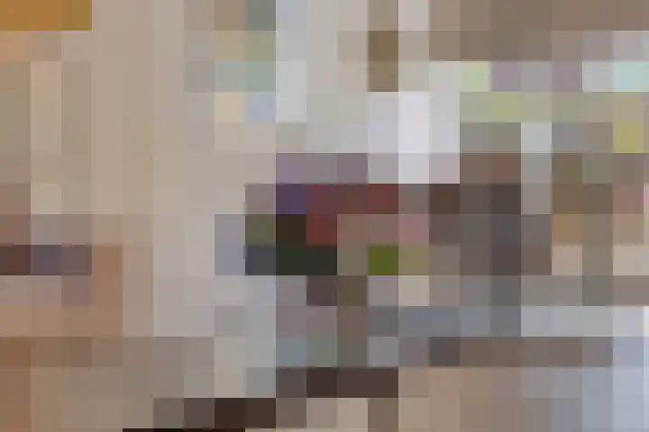 Helmkruid 5 Oldenzaal thumbnail 6