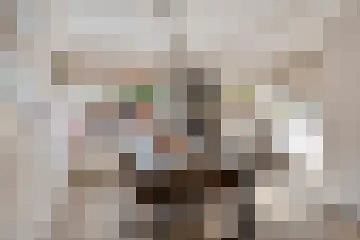 Helmkruid 5 Oldenzaal thumbnail 8
