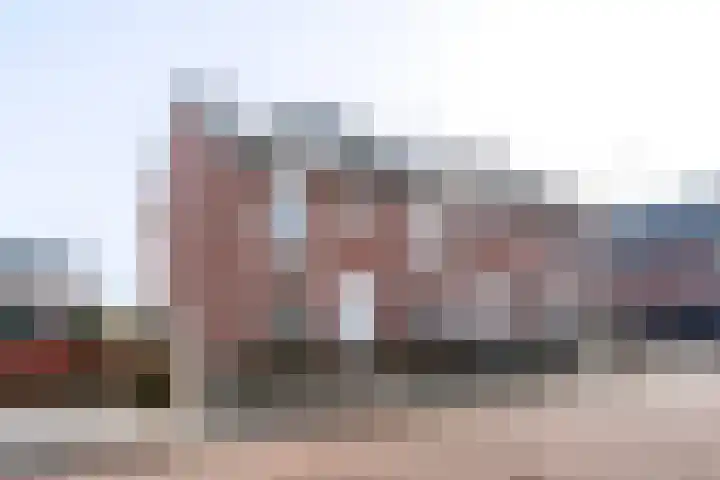 Helmkruid 6 in Brummen