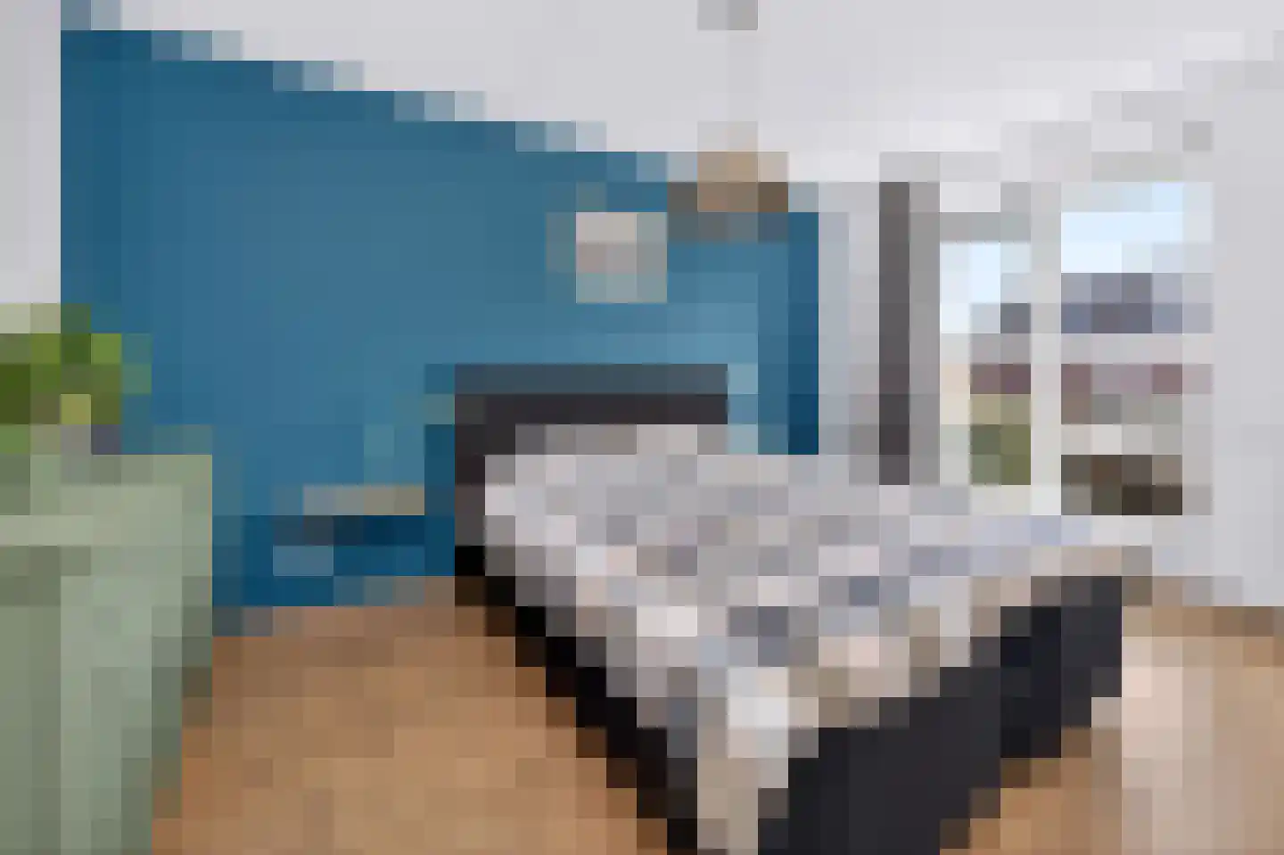 Helmkruid 6 Brummen thumbnail 13