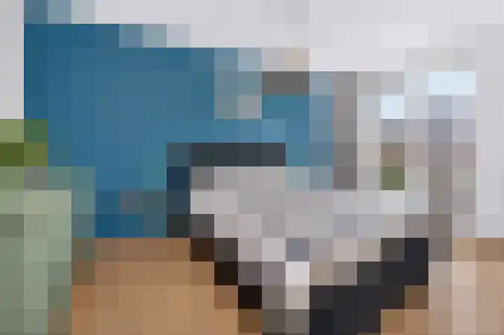 Helmkruid 6 Brummen thumbnail 13
