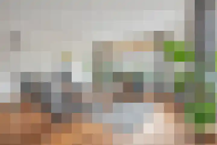 Helmkruid 6 Brummen thumbnail 19