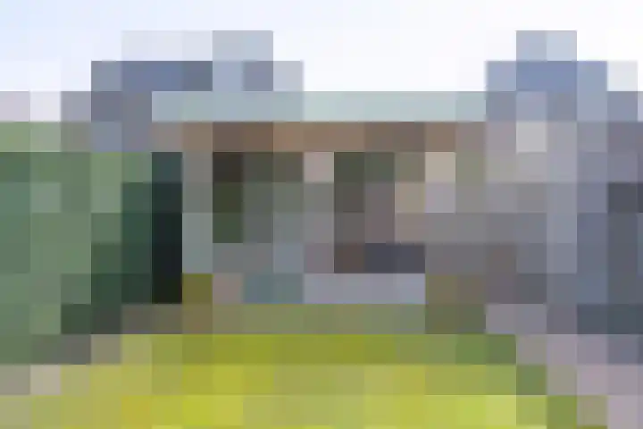 Helmkruid 6 Brummen thumbnail 23
