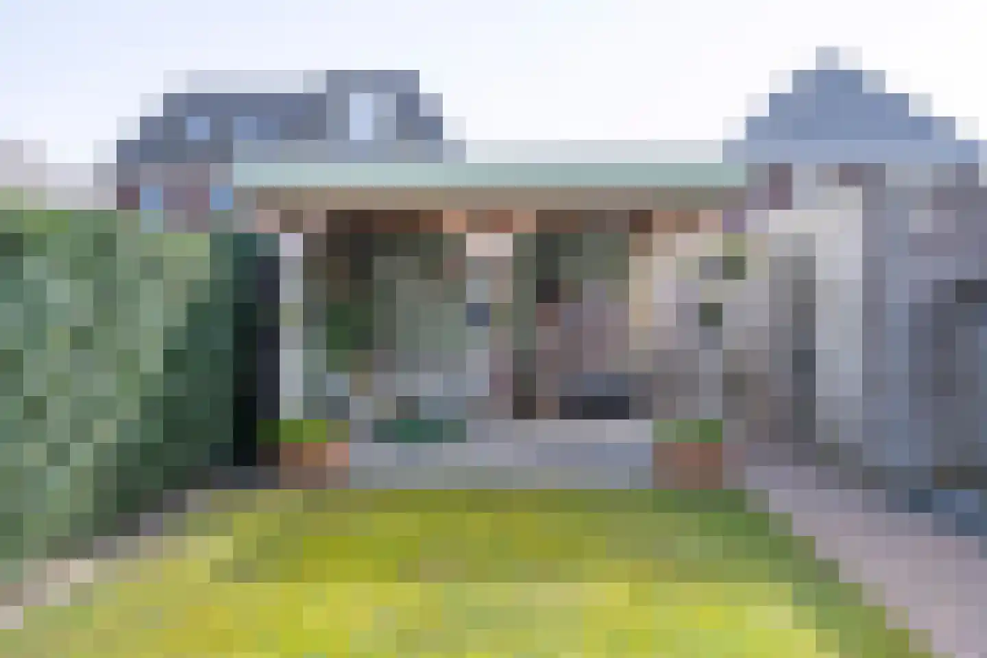 Helmkruid 6 Brummen thumbnail 23