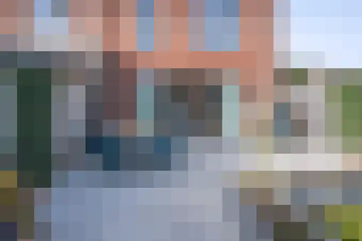 Helmkruid 6 Brummen thumbnail 24