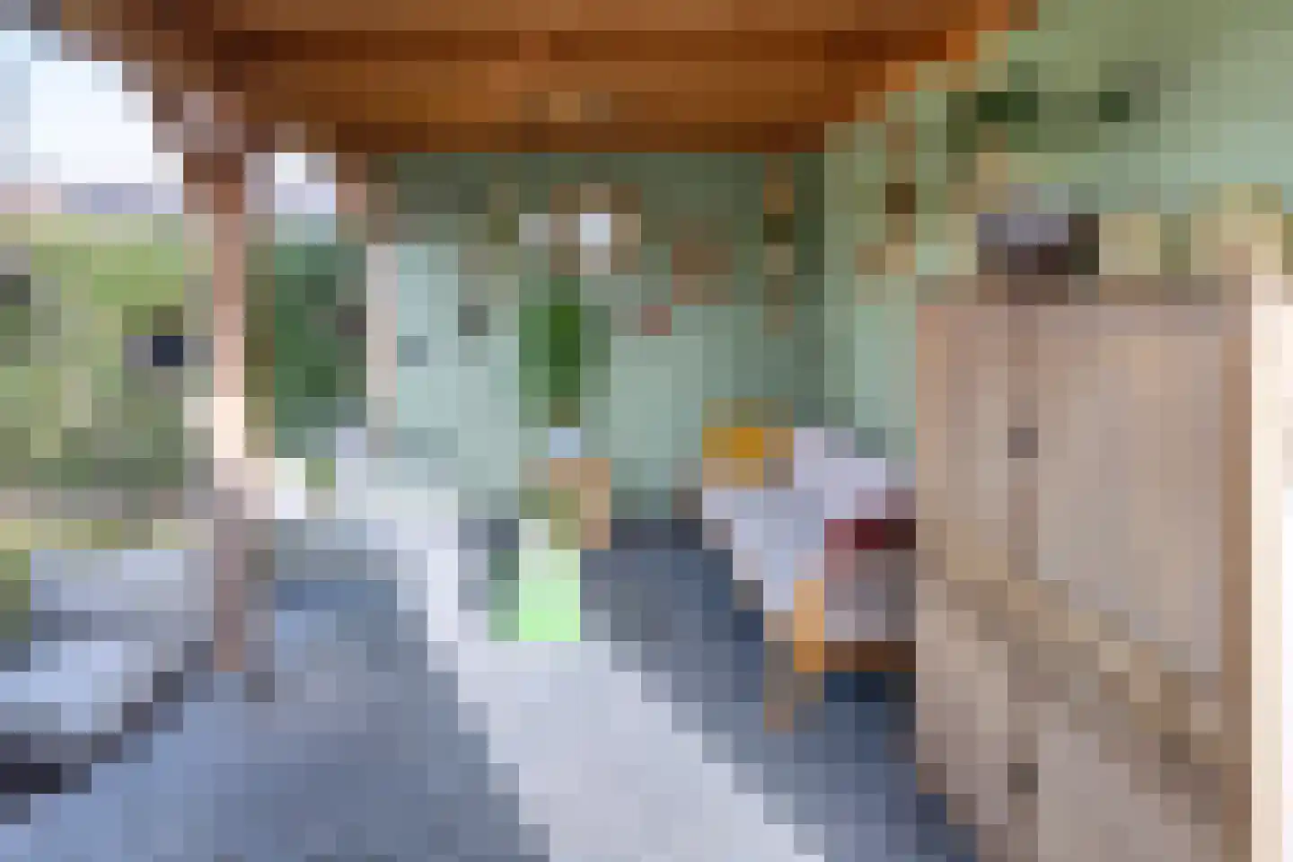 Helmkruid 6 Brummen thumbnail 25
