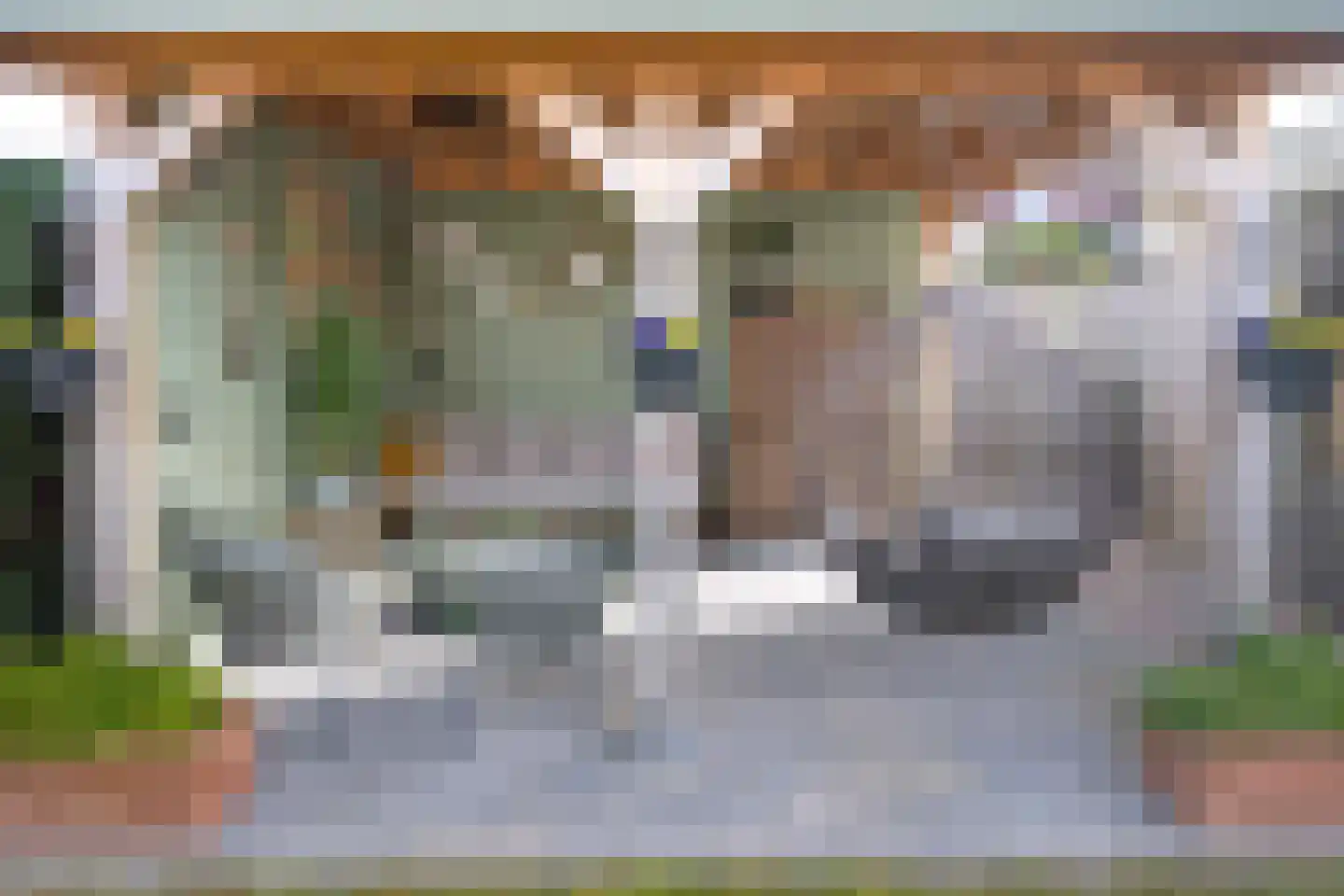 Helmkruid 6 Brummen thumbnail 26