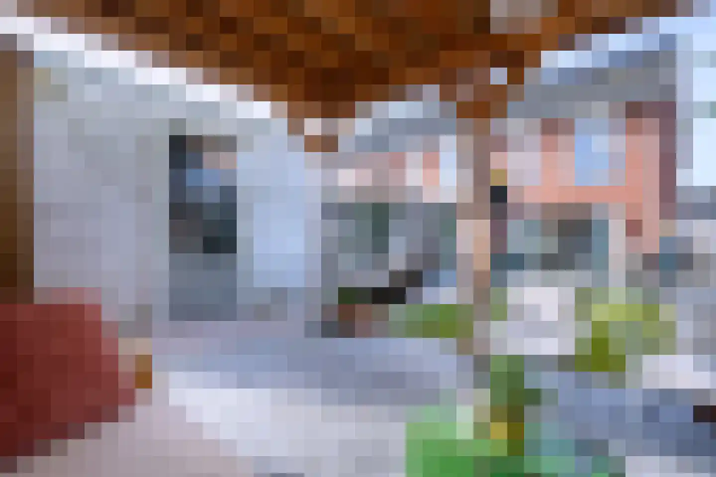 Helmkruid 6 Brummen thumbnail 27