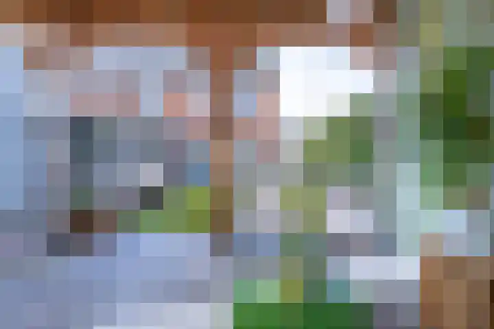 Helmkruid 6 Brummen thumbnail 28