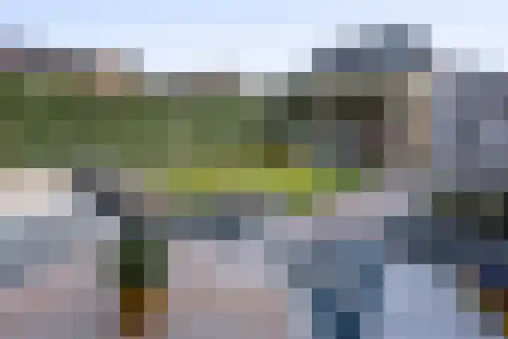 Helmkruid 6 Brummen thumbnail 29