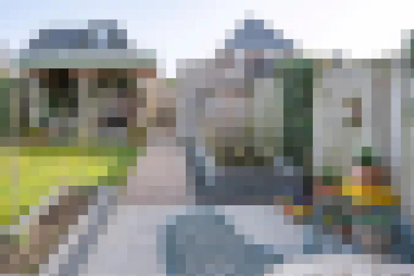 Helmkruid 6 Brummen thumbnail 30