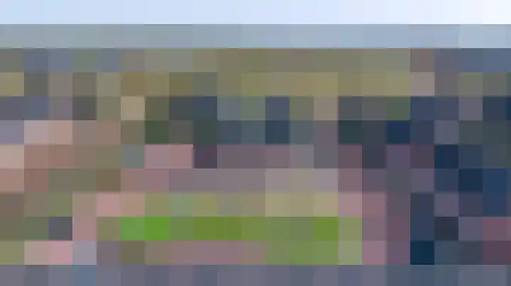 Helmkruid 6 Brummen thumbnail 34