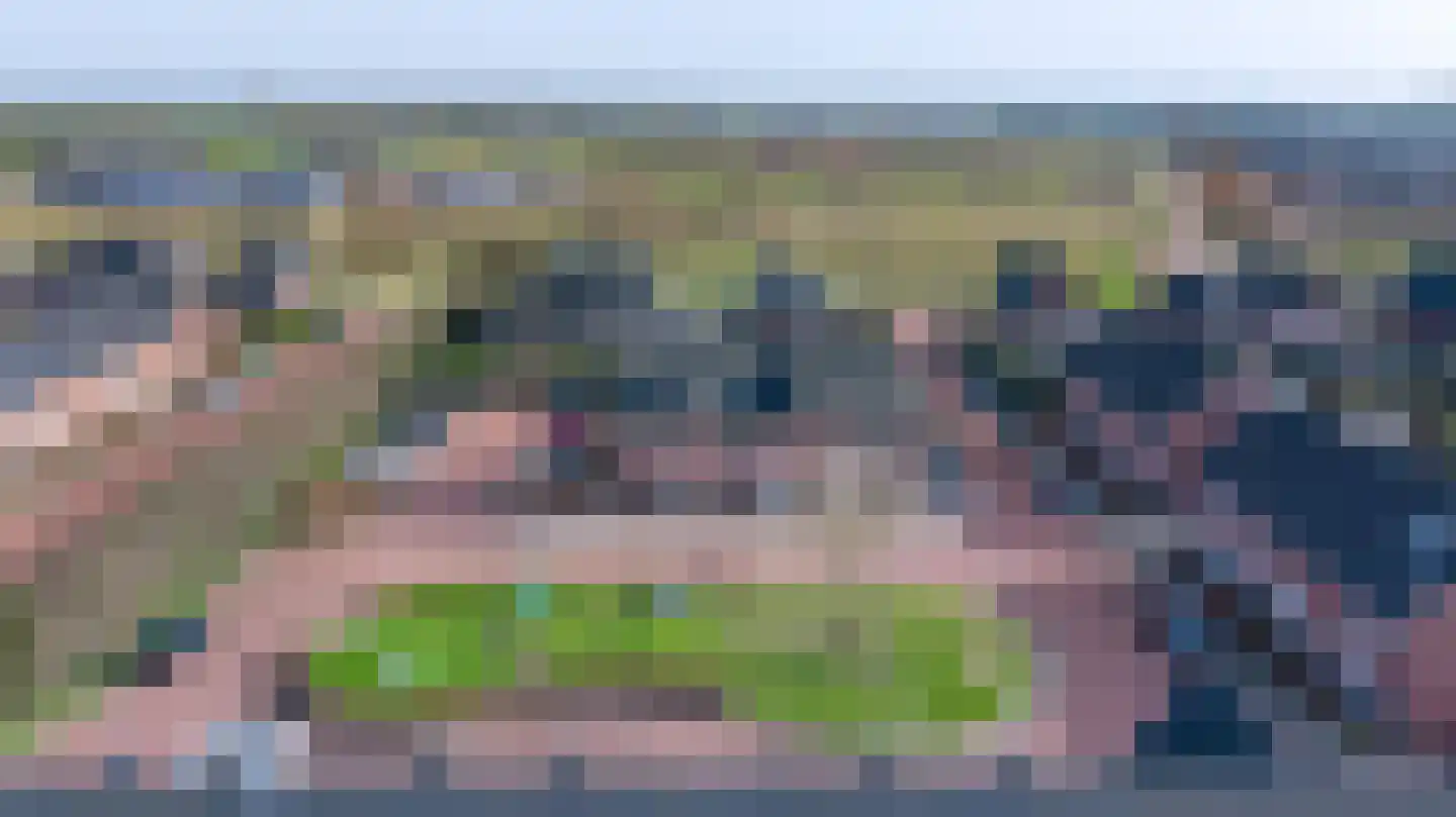 Helmkruid 6 Brummen thumbnail 34