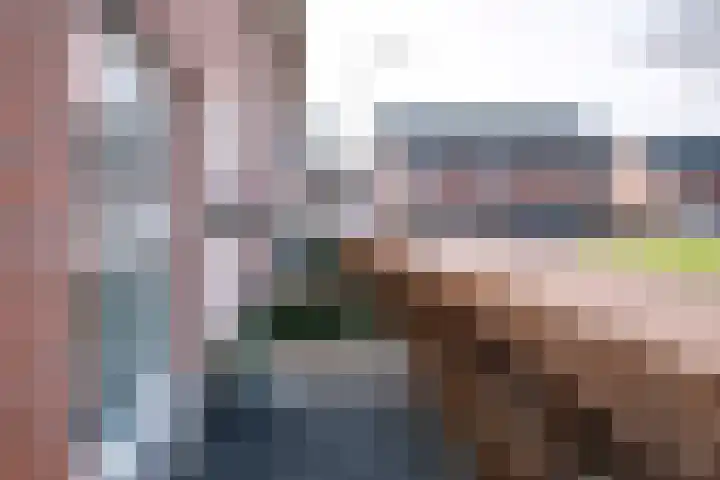 Helmkruid 6 Brummen thumbnail 35