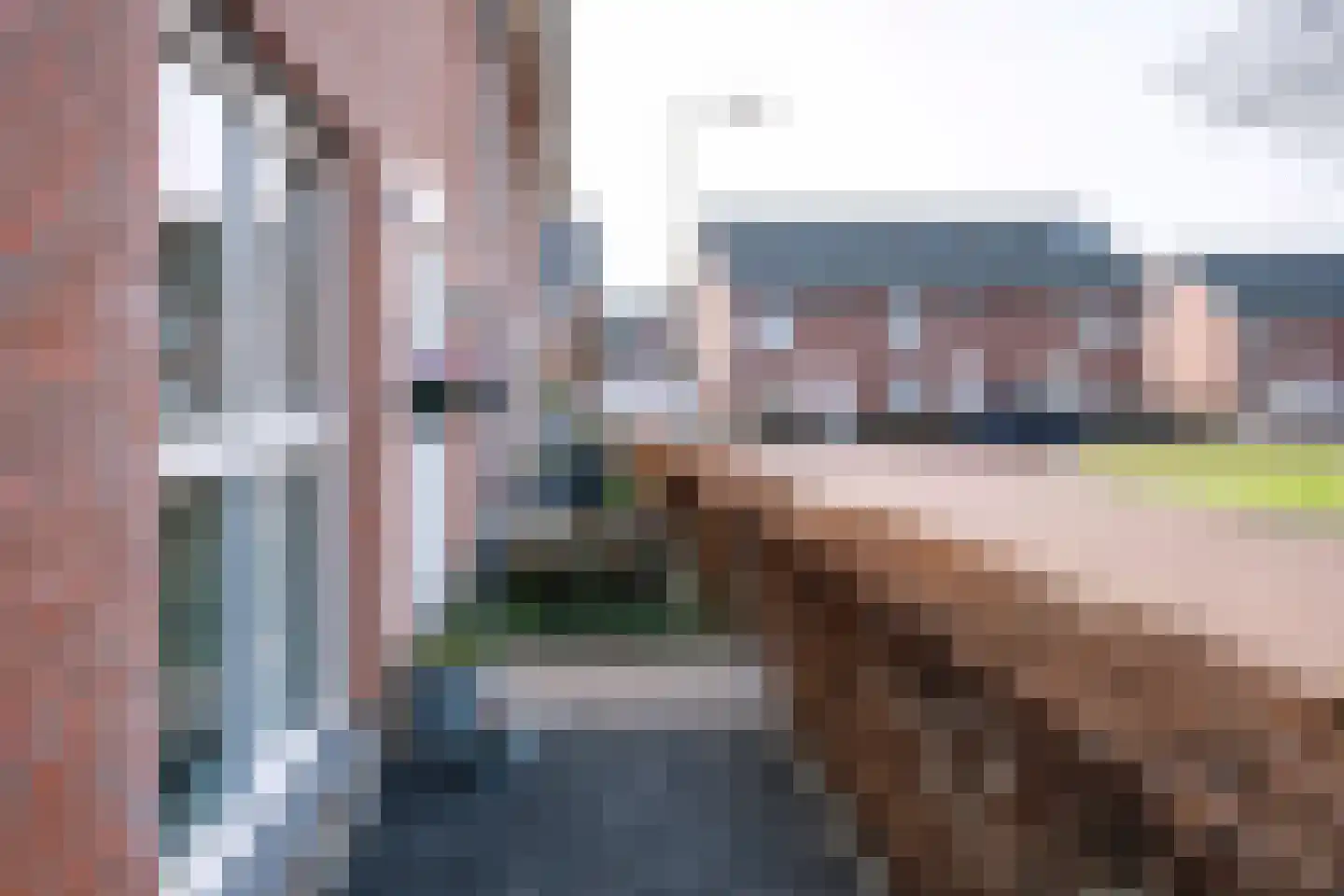 Helmkruid 6 Brummen thumbnail 35
