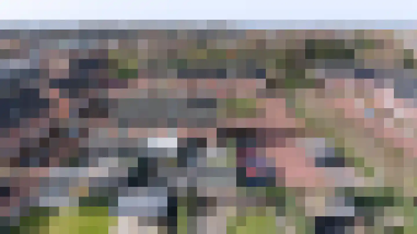 Helmkruid 6 Brummen thumbnail 36