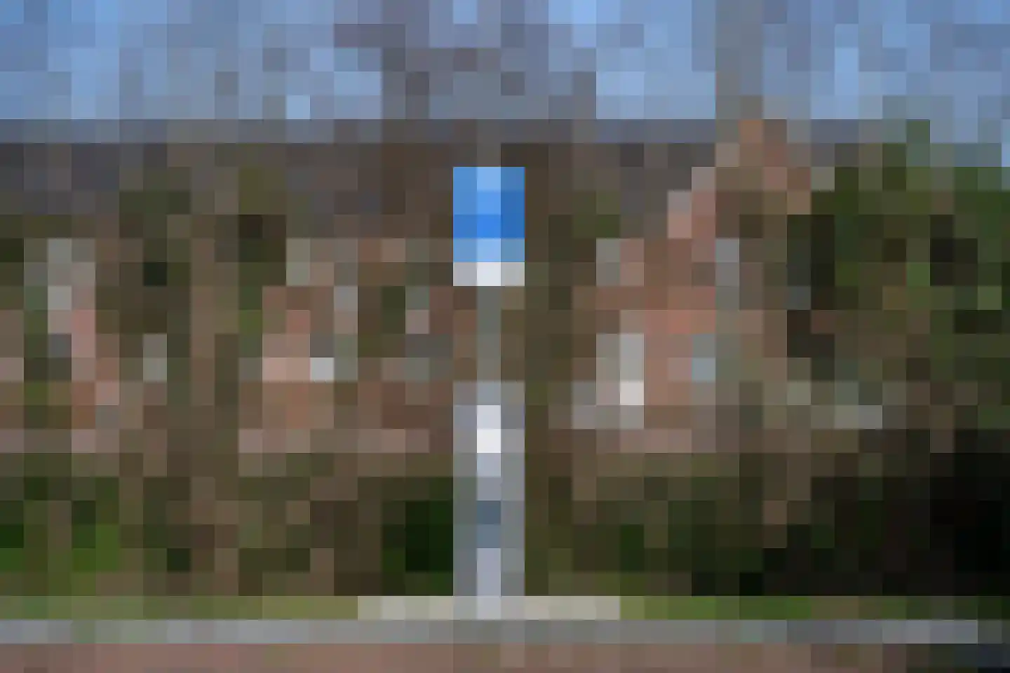 Helmkruid 6 Brummen thumbnail 37